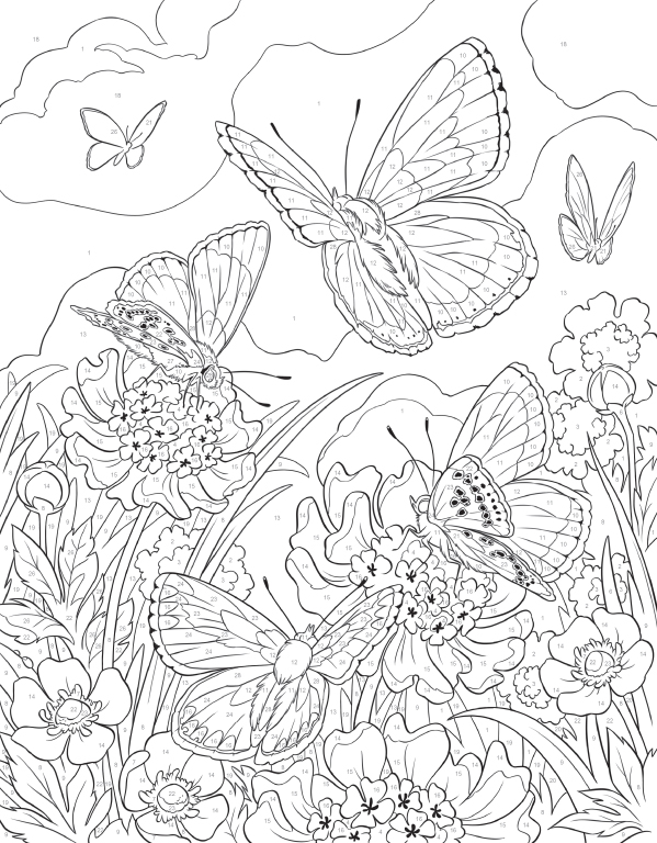 Numérote Livre De Coloriage Pour Le Vecteur D'adultes Illustration