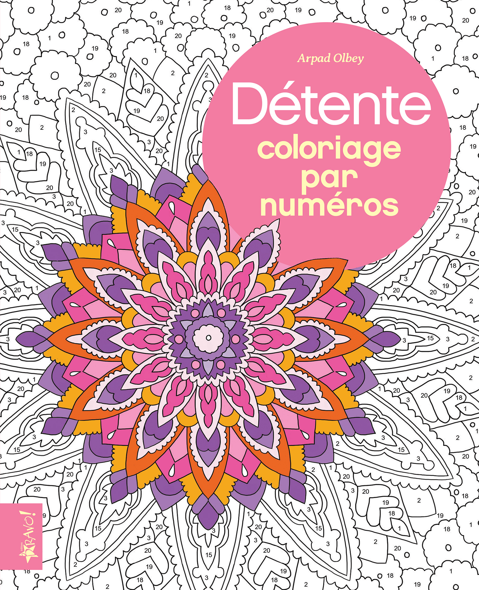 Numérote Livre De Coloriage Pour Le Vecteur D'adultes Illustration