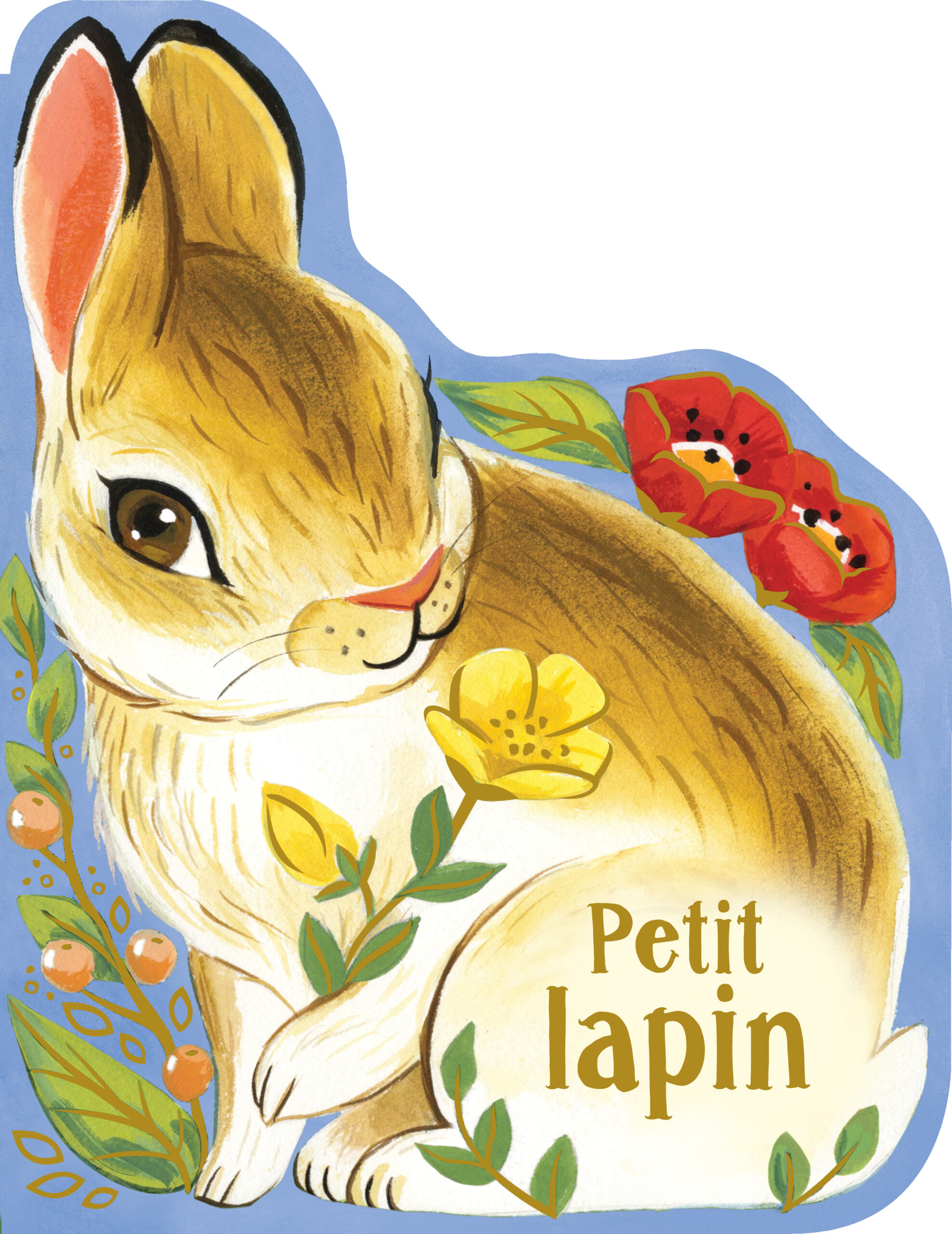 Chou blanc pour lapin