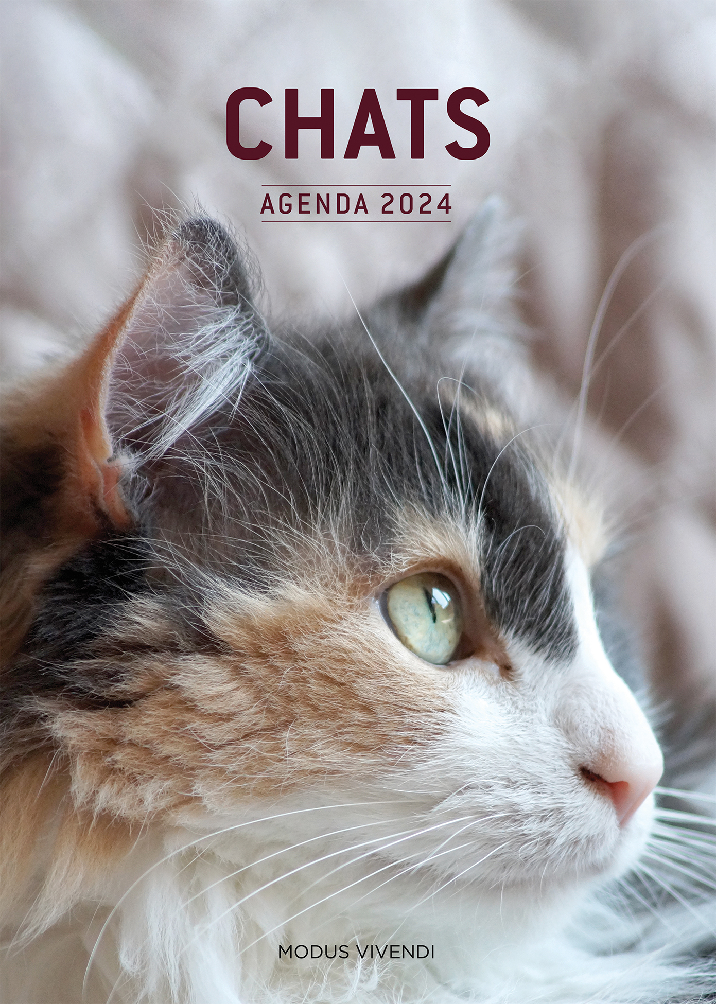 Agenda des chats 2024 - Agenda annuel - Modus Vivendi