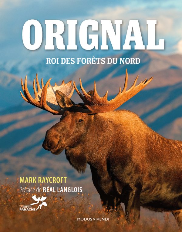 Orignal – Roi des forêts du Nord