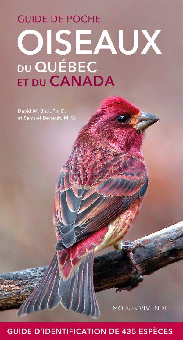 Guide de poche Oiseaux du Québec et du Canada