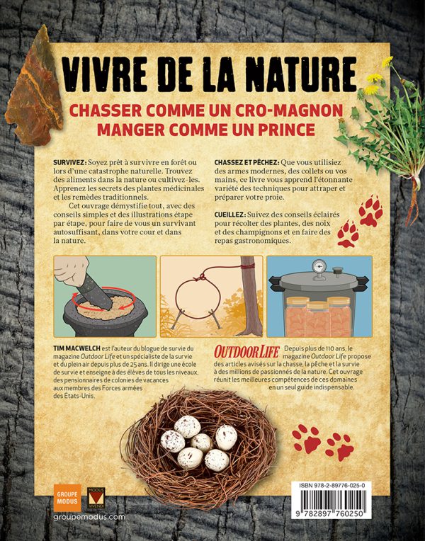 Guide total survie forêt – Image 4