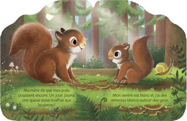 Petit écureuil – Image 2