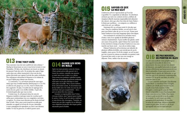 Guide total chasse chevreuil – Image 2