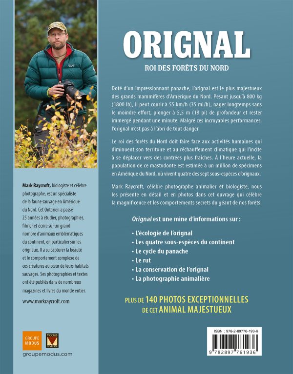 Orignal – Roi des forêts du Nord – Image 4