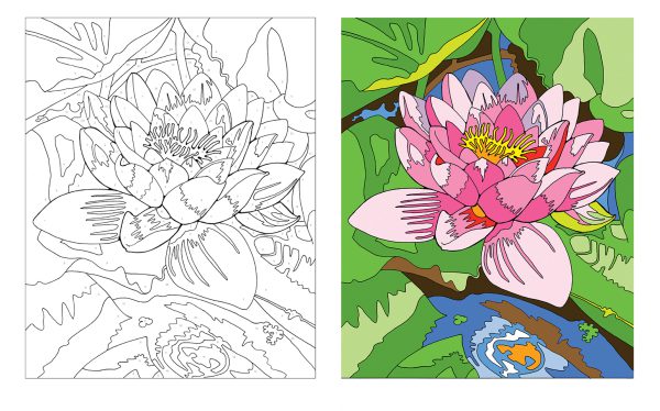 Coloriage par numéros – Fleurs – Image 2