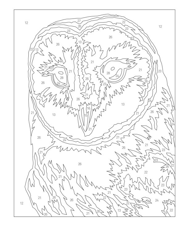 Coloriage par numéros – Oiseaux – Image 3