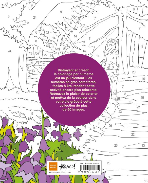 Coloriage par numéros – Plénitude – Image 3