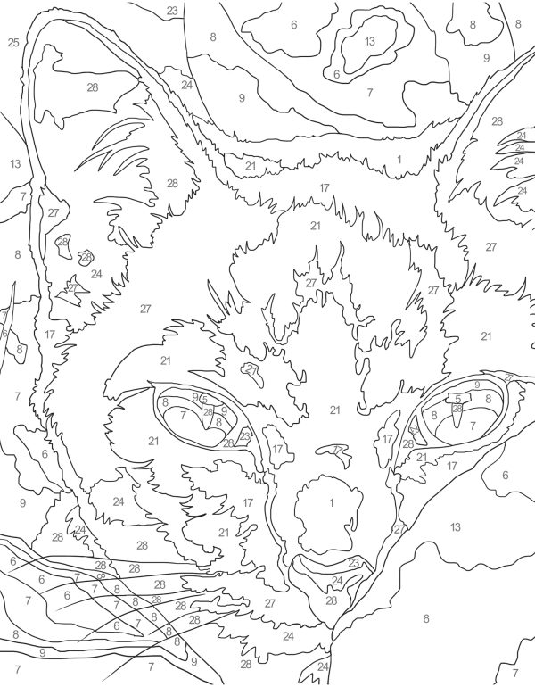Coloriage par numéros – Plénitude – Image 2