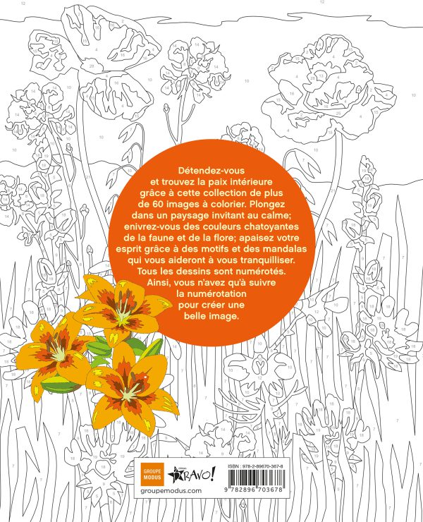 Coloriage par numéros – Zénitude – Image 3