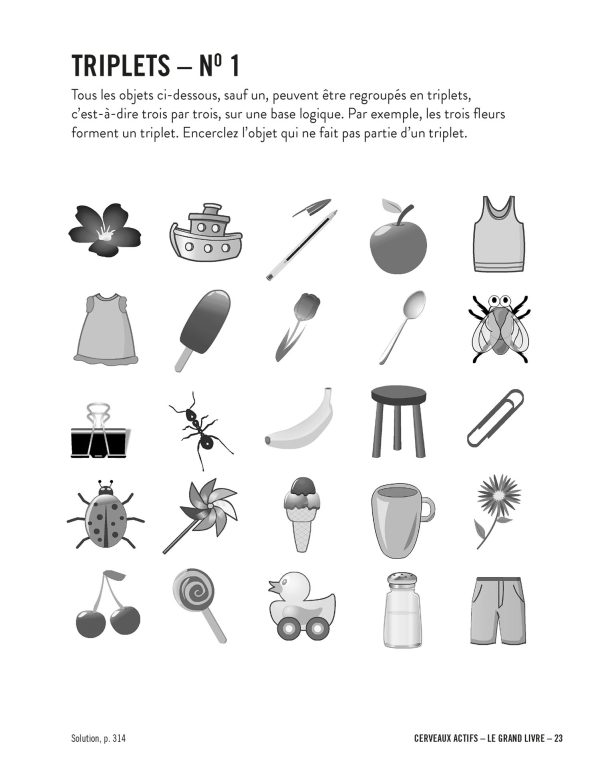 Cerveaux actifs - Le grand livre – Image 3