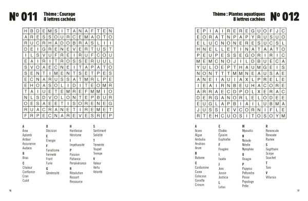 Méga grand - Mots mystères - Image 2
