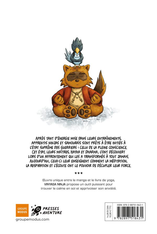 Vinyasa ninja 3 – L'état de pleine conscience – Image 4