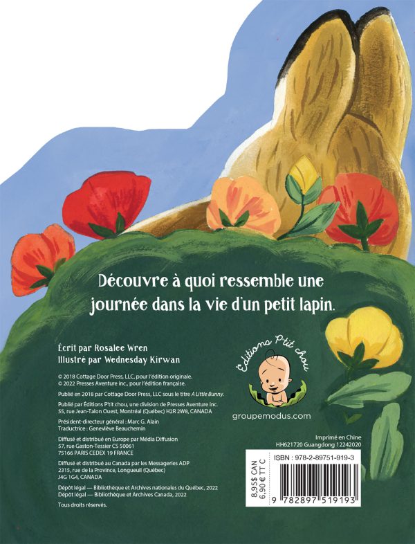 Petit lapin - Image 3