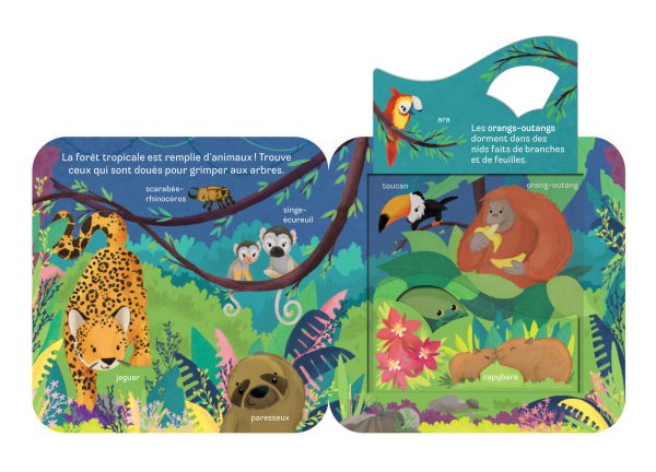 Rabats surprises : Zoo - Image 2