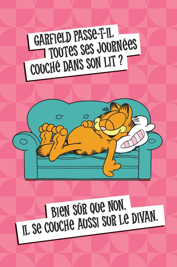 Garfield – L'art de la paresse – Image 3