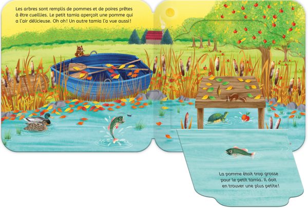 Rabats surprises – L'automne dans la forêt – Image 2