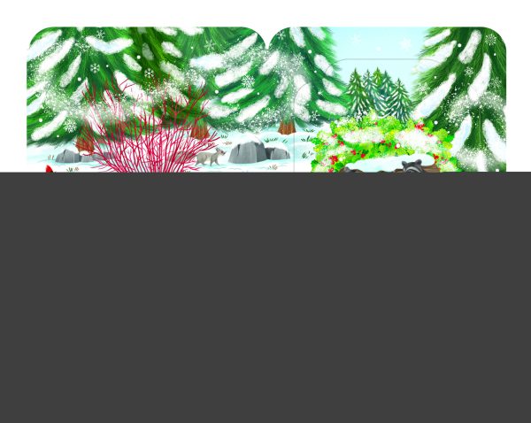 Rabats surprises – L'hiver dans la forêt – Image 3