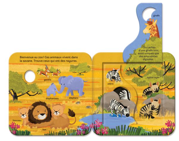 Rabats surprises – Zoo – Image 2