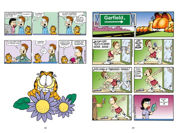 Garfield – Les mésaventures de Jon – Image 3