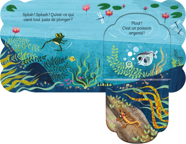 Rabats suprises – Petite grenouille à l'étang – Image 2