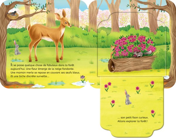 Rabats surprises – Le printemps dans la forêt – Image 2
