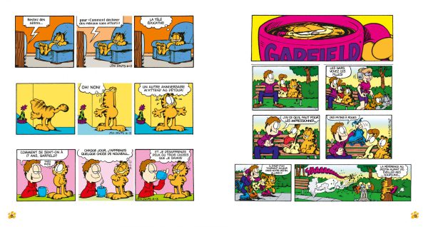 Garfield - Poids lourd 4 – Image 2