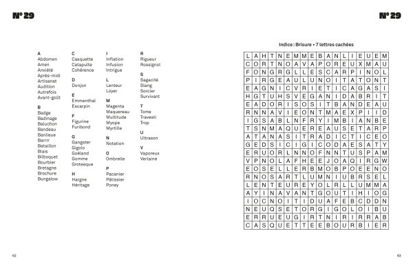 Le grand livre des mots cachés géants – Image 2
