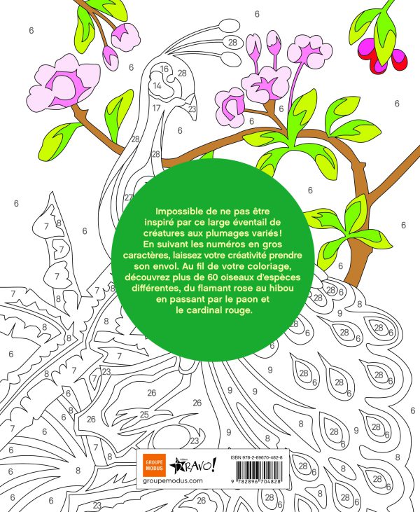 Coloriage par numéros – Oiseaux – Image 4