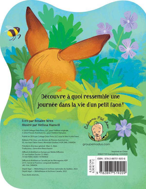 Petit faon – Image 3