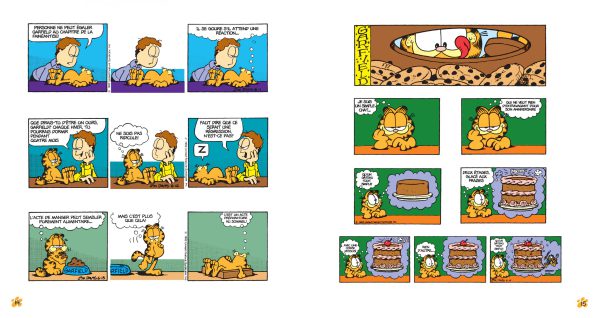 Garfield - Poids lourd 2 NE - Image 2