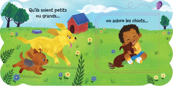 Rabats surprises - Chiots - Image 2