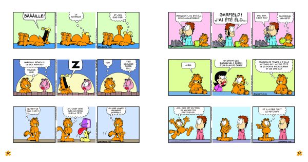 Garfield - Poids lourd 29 – Image 2