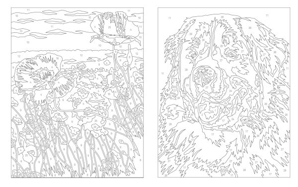 Coloriage par numéros – Élégance – Image 2