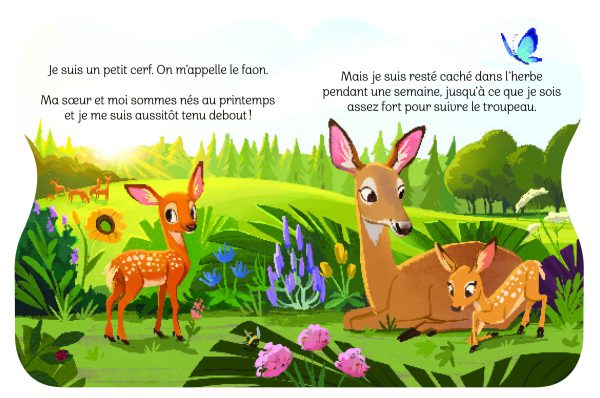 Petit faon – Image 4