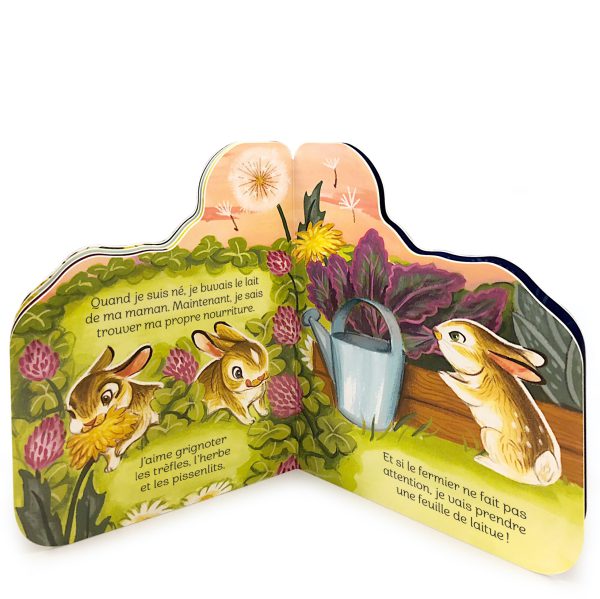 Petit lapin - Image 2