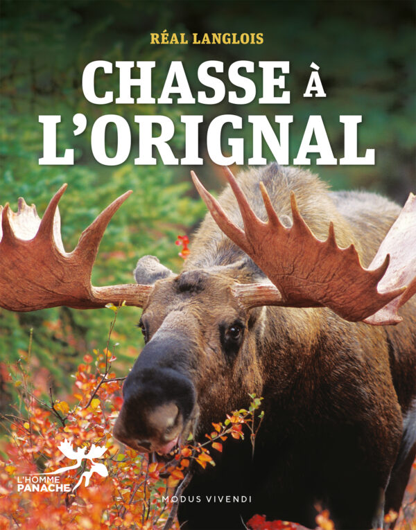 Chasse à l'orignal