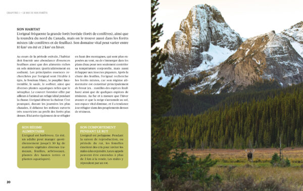Chasse à l'orignal – Image 3