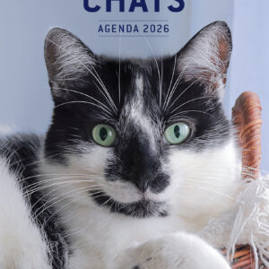 Chats - Agenda 2026