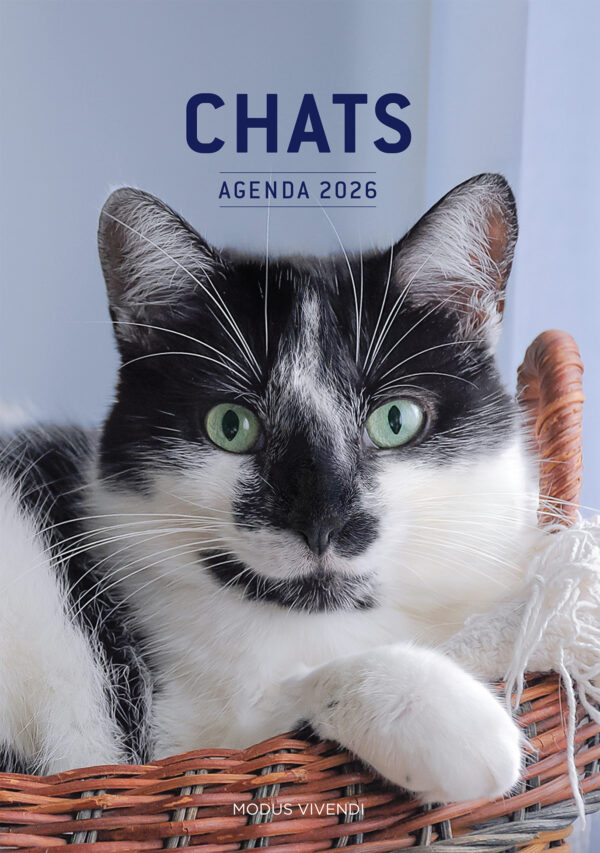 Chats - Agenda 2026