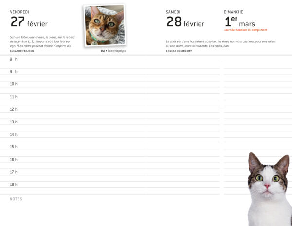 Chats - Agenda 2026 - Image 2