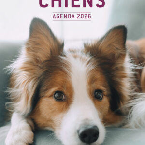 Chiens - Agenda 2026