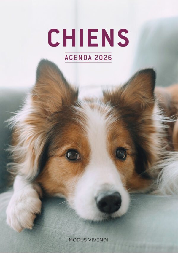Chiens - Agenda 2026