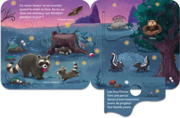 Rabats surprises – Amis de la forêt - Image 3