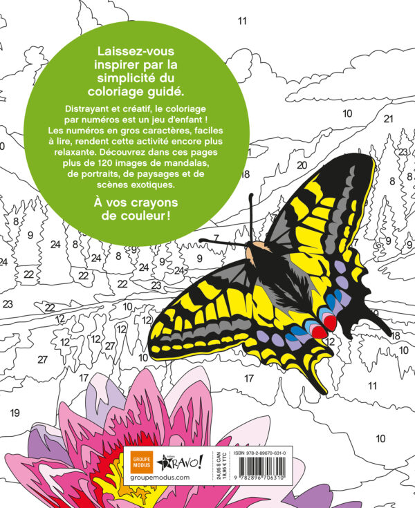 Grand livre de coloriage par numéros - Zen - Image 4