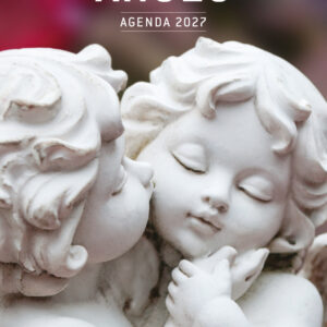 Anges – Agenda 2027