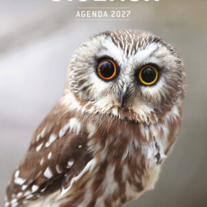 Oiseaux – Agenda 2027